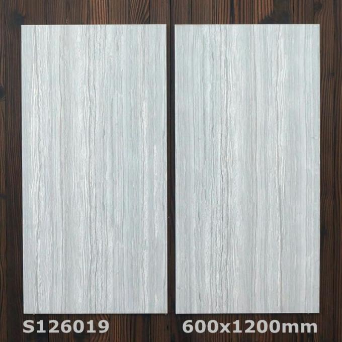 White Marble Inkjet Internal Wall Tiles Matt Surface 600x1200MM Size