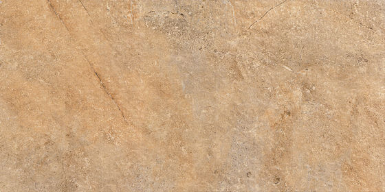 300X600 Interior Romantic Yellow  Ceramic Floor And Wall Tiles Matte Finished Flower Design
